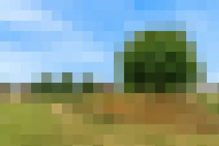Kristalwater 42 Houten thumbnail 47