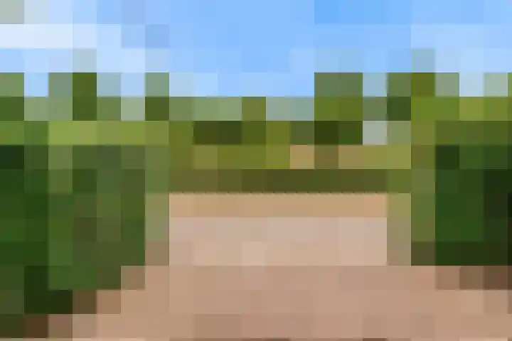 Kristalwater 42 Houten thumbnail 5