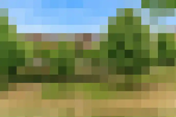 Kristalwater 42 Houten thumbnail 6