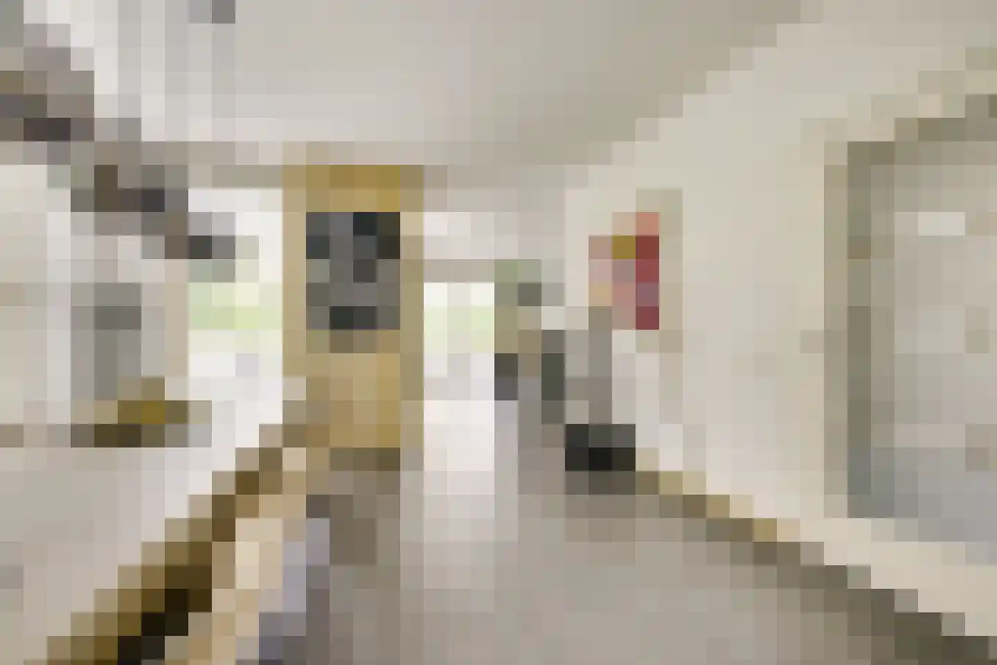 Kristalwater 8 Houten thumbnail 10
