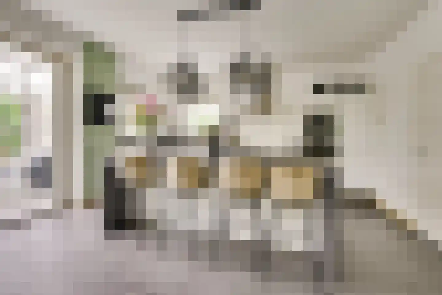 Kristalwater 8 Houten thumbnail 12