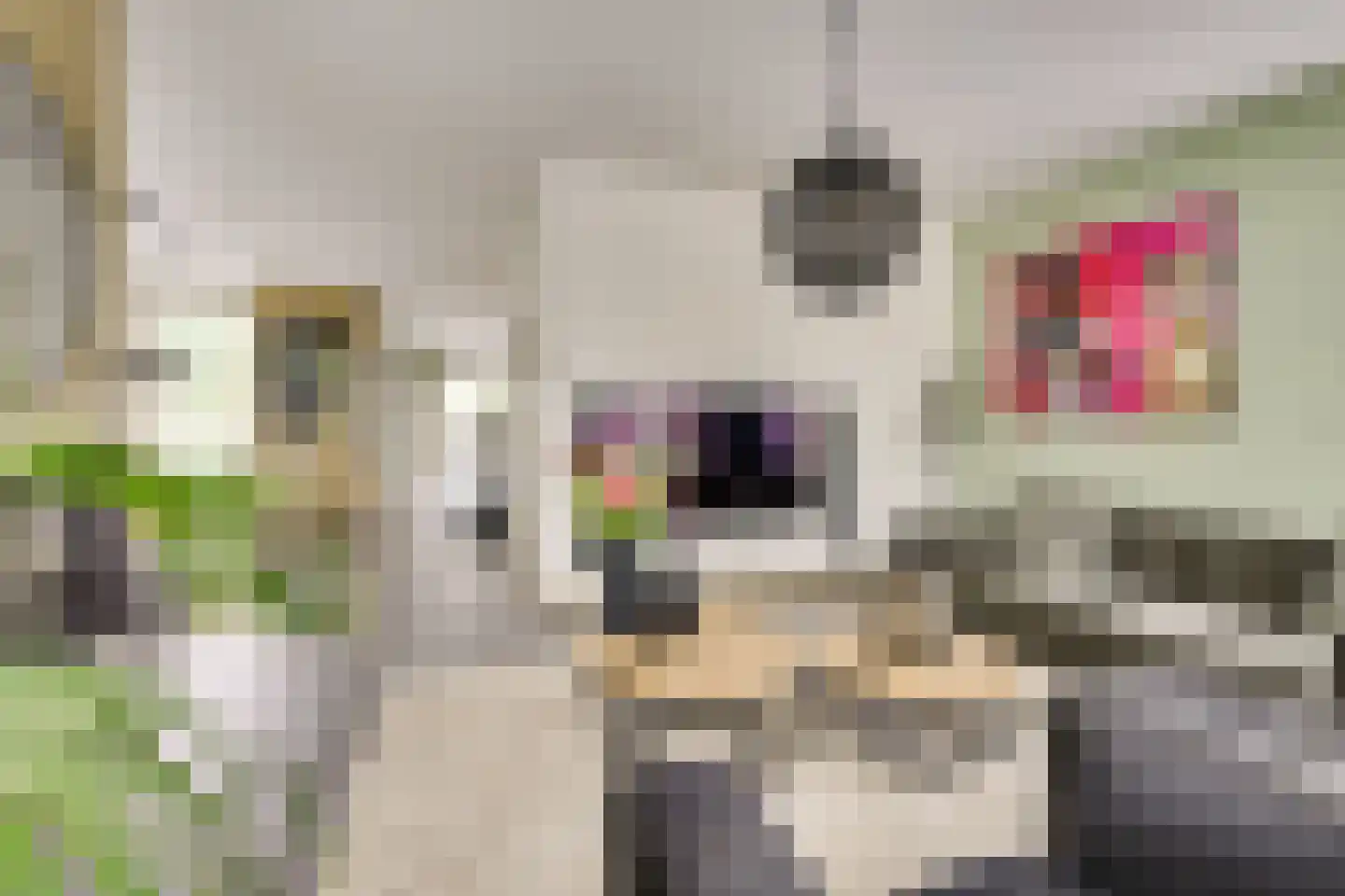 Kristalwater 8 Houten thumbnail 17