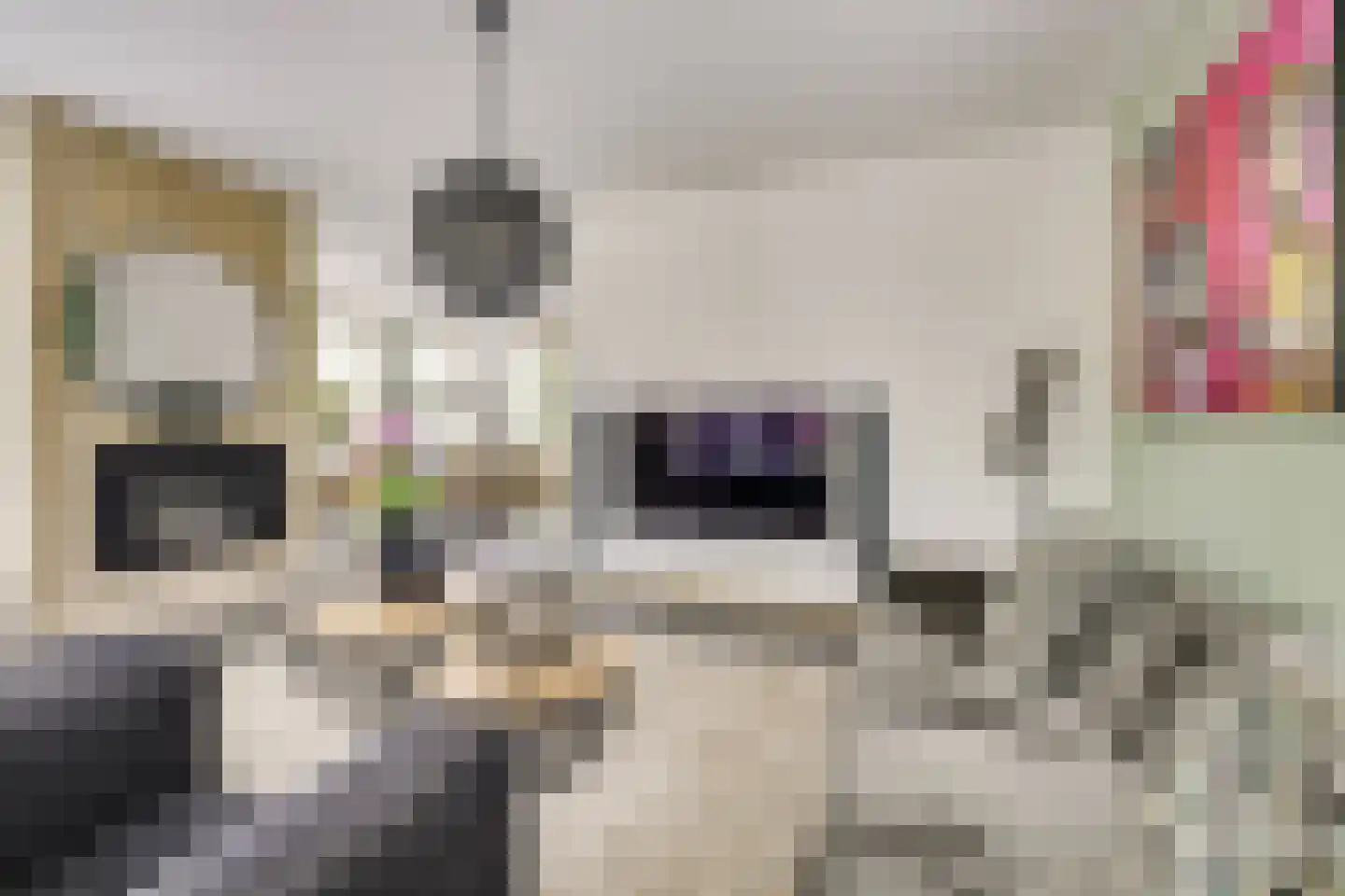 Kristalwater 8 Houten thumbnail 18