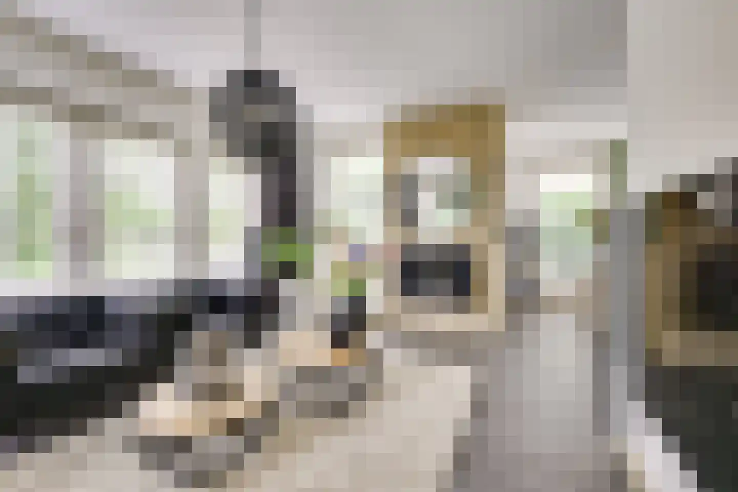 Kristalwater 8 Houten thumbnail 19