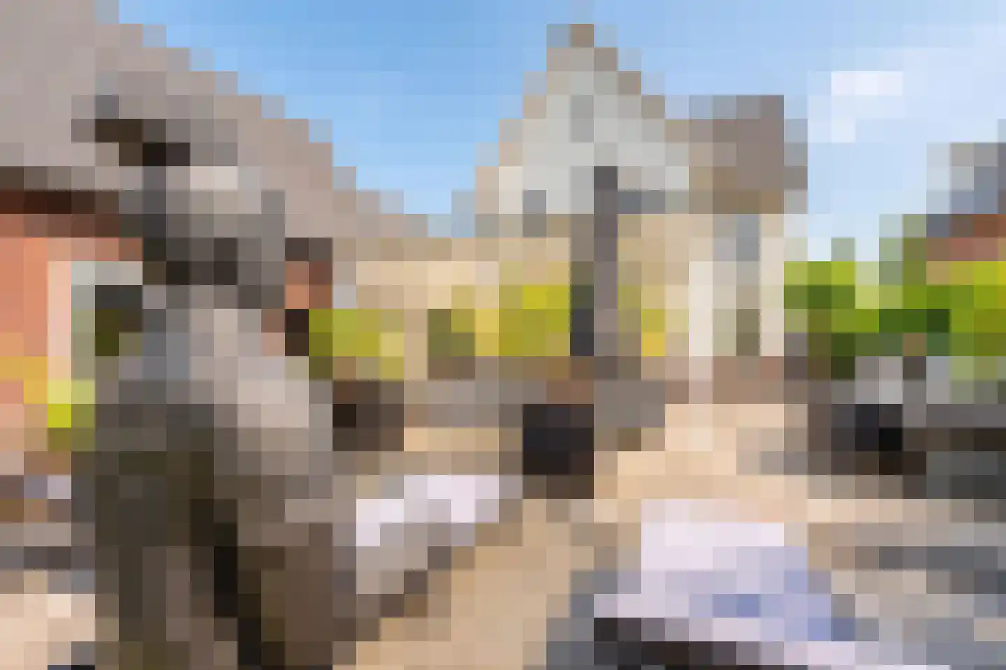Kristalwater 8 Houten thumbnail 25
