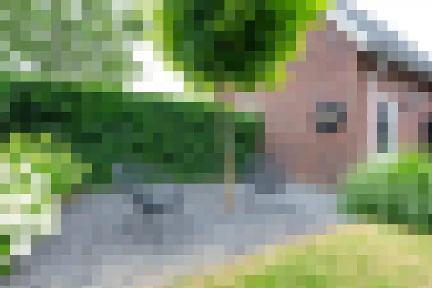 Kristalwater 8 Houten thumbnail 28