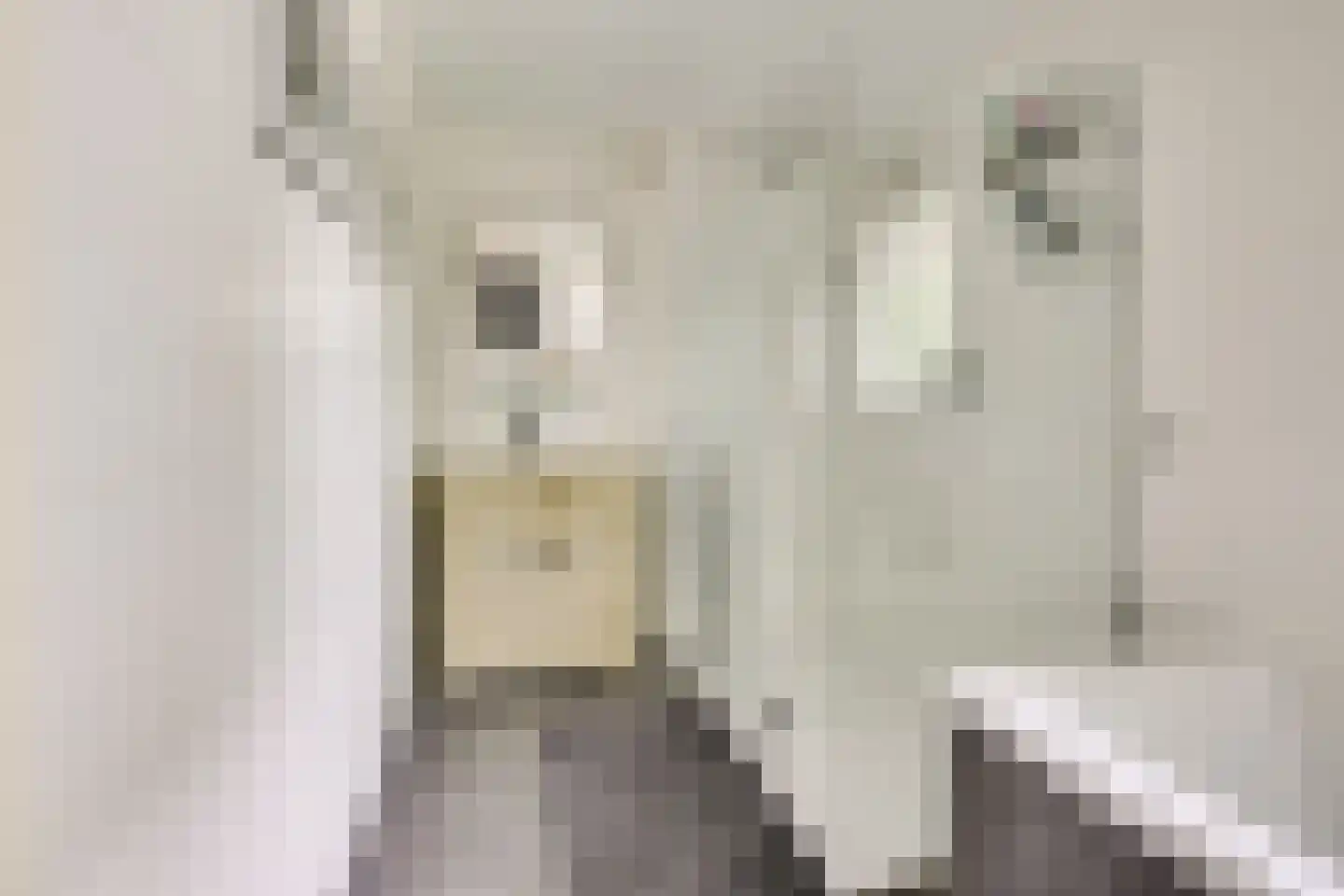 Kristalwater 8 Houten thumbnail 39