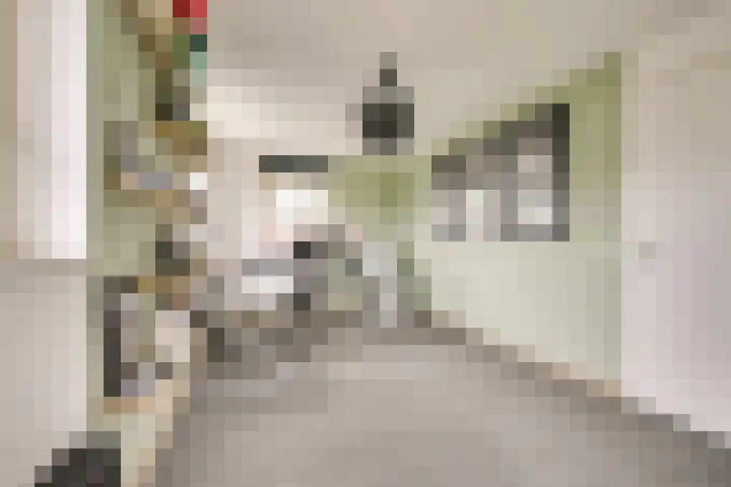 Kristalwater 8 Houten thumbnail 45