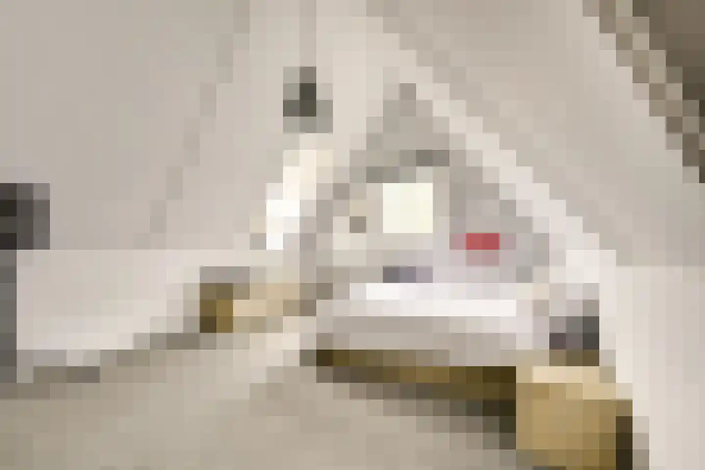 Kristalwater 8 Houten thumbnail 49