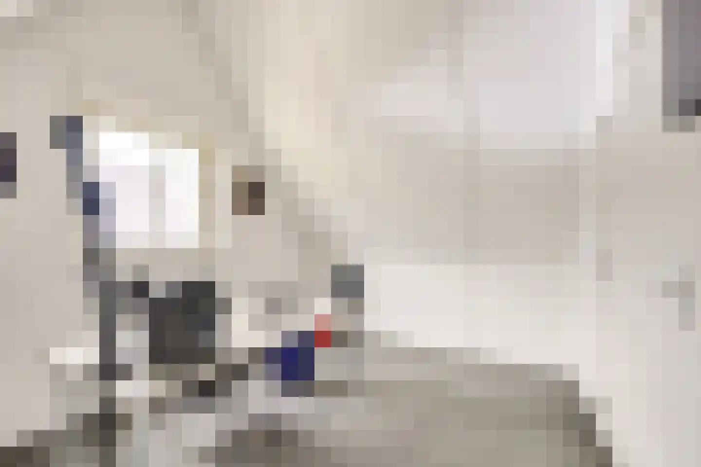 Kristalwater 8 Houten thumbnail 52