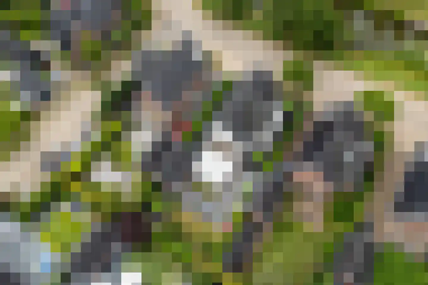 Kristalwater 8 Houten thumbnail 60
