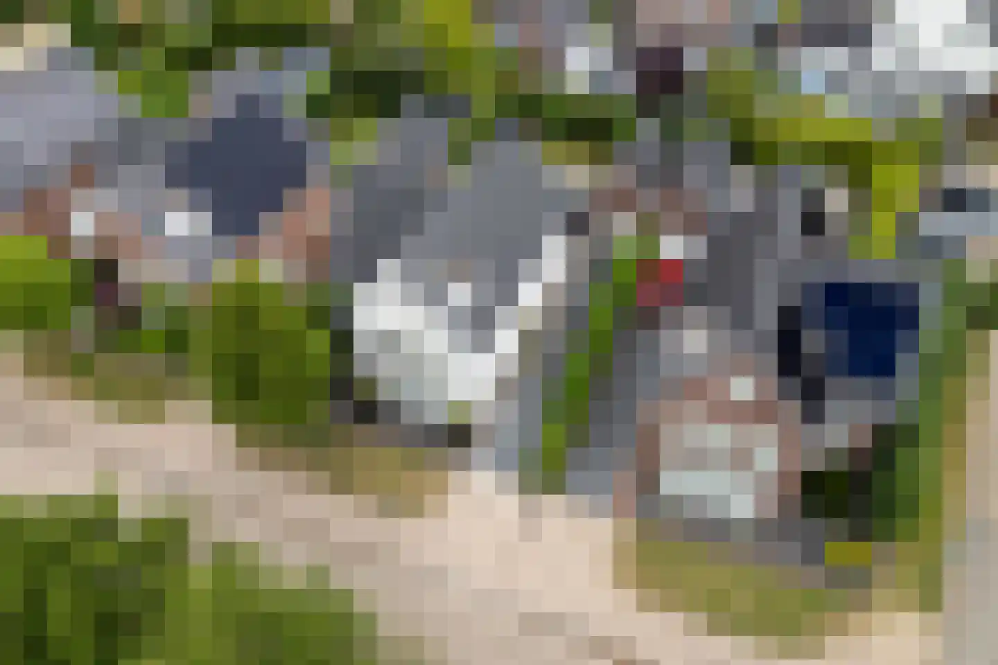 Kristalwater 8 Houten thumbnail 63