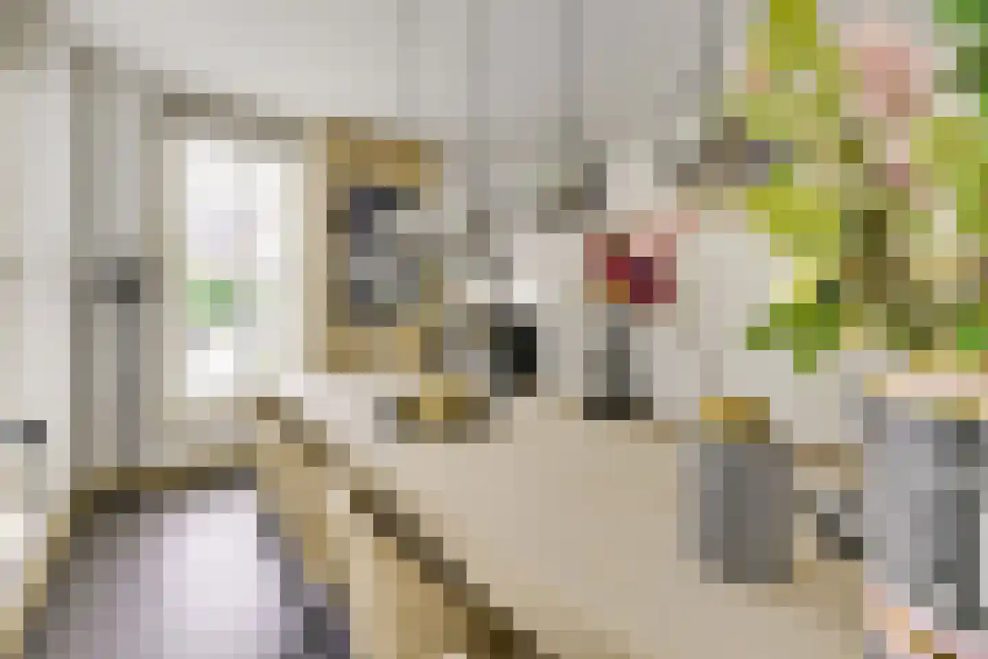 Kristalwater 8 Houten thumbnail 9