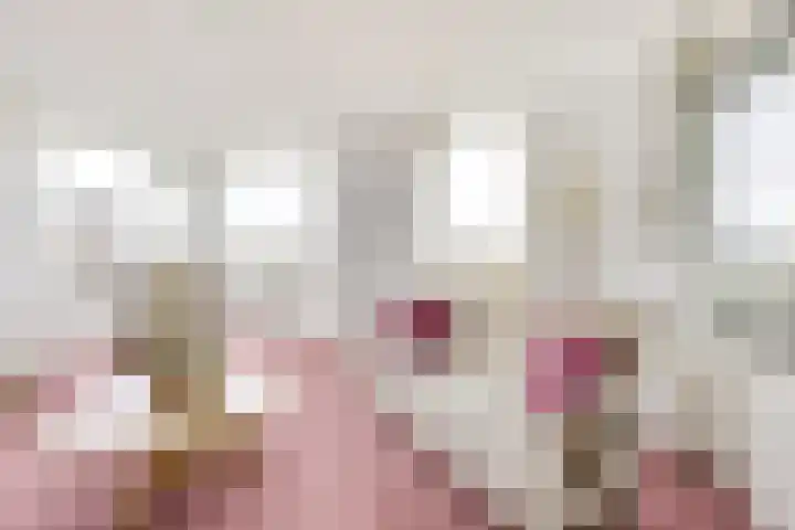 Kristalwater 98 Houten thumbnail 11