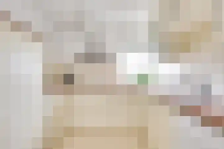 Kristalwater 98 Houten thumbnail 14