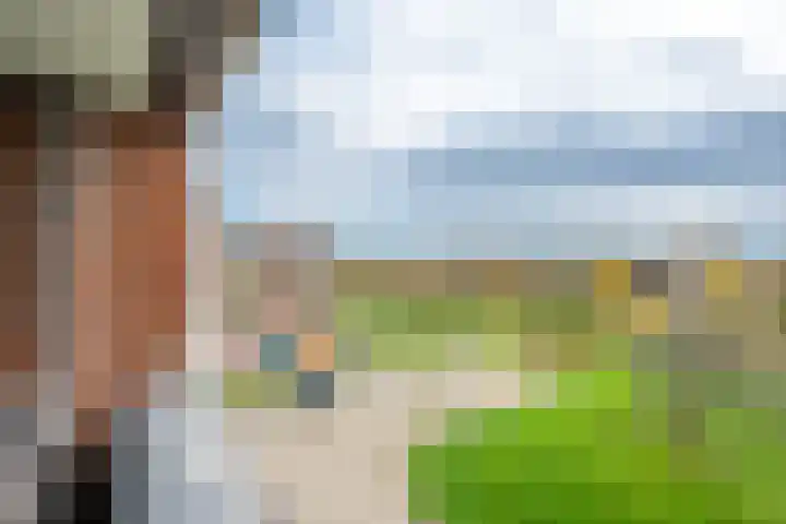 Kristalwater 98 Houten thumbnail 19