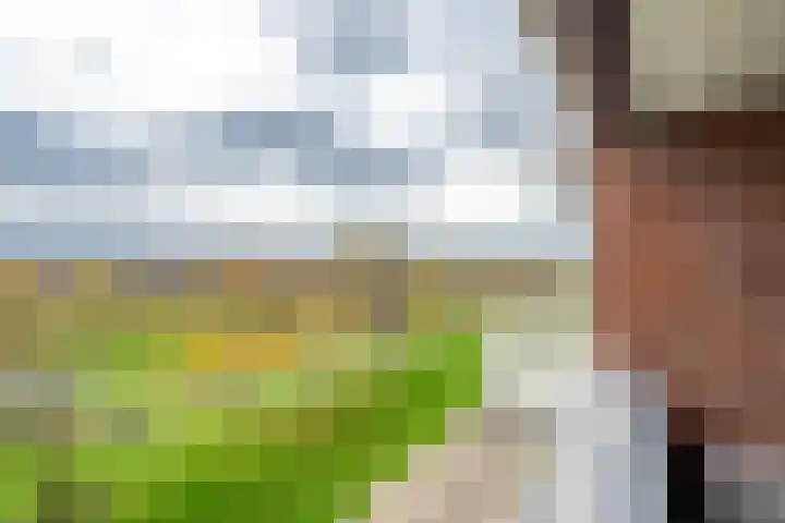 Kristalwater 98 Houten thumbnail 20