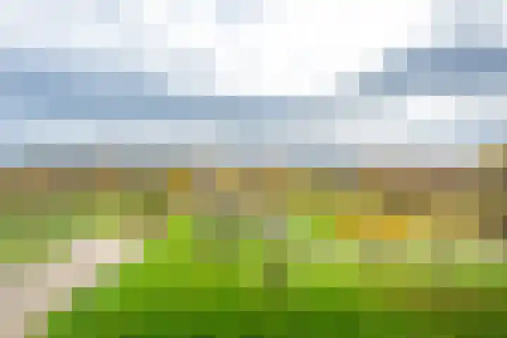 Kristalwater 98 Houten thumbnail 21