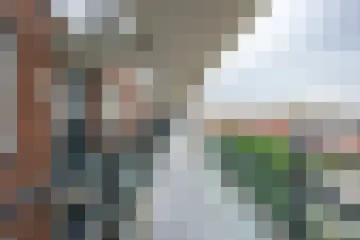 Kristalwater 98 Houten thumbnail 35