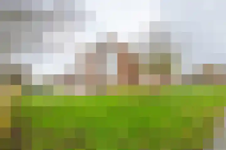 Kristalwater 98 Houten thumbnail 4