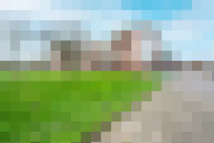 Kristalwater 98 Houten thumbnail 46