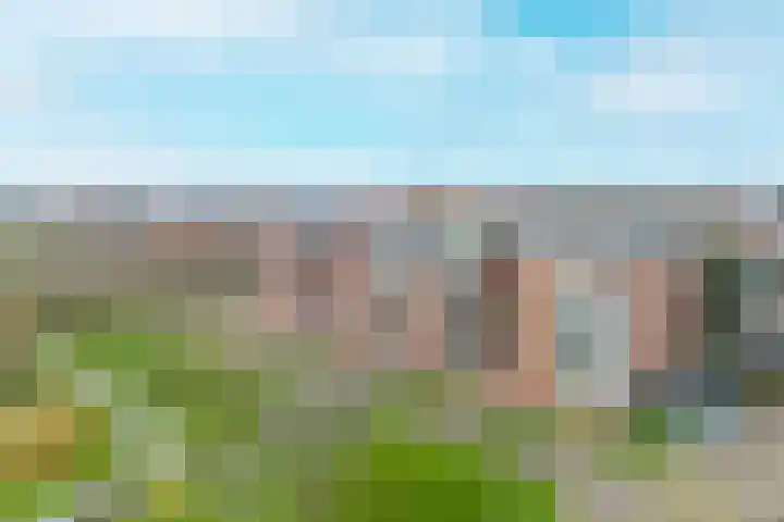 Kristalwater 98 Houten thumbnail 49