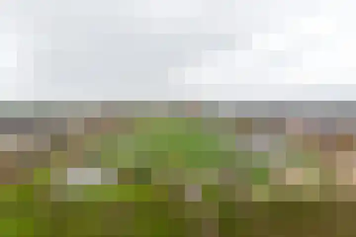 Kristalwater 98 Houten thumbnail 51