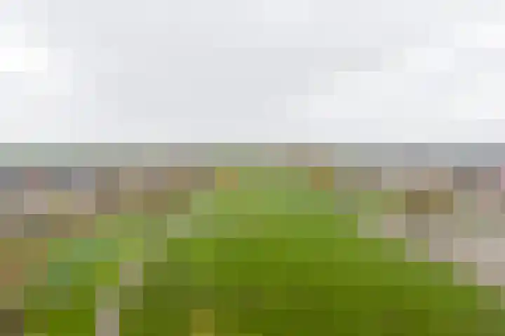 Kristalwater 98 Houten thumbnail 52