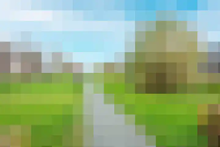 Kristalwater 98 Houten thumbnail 53