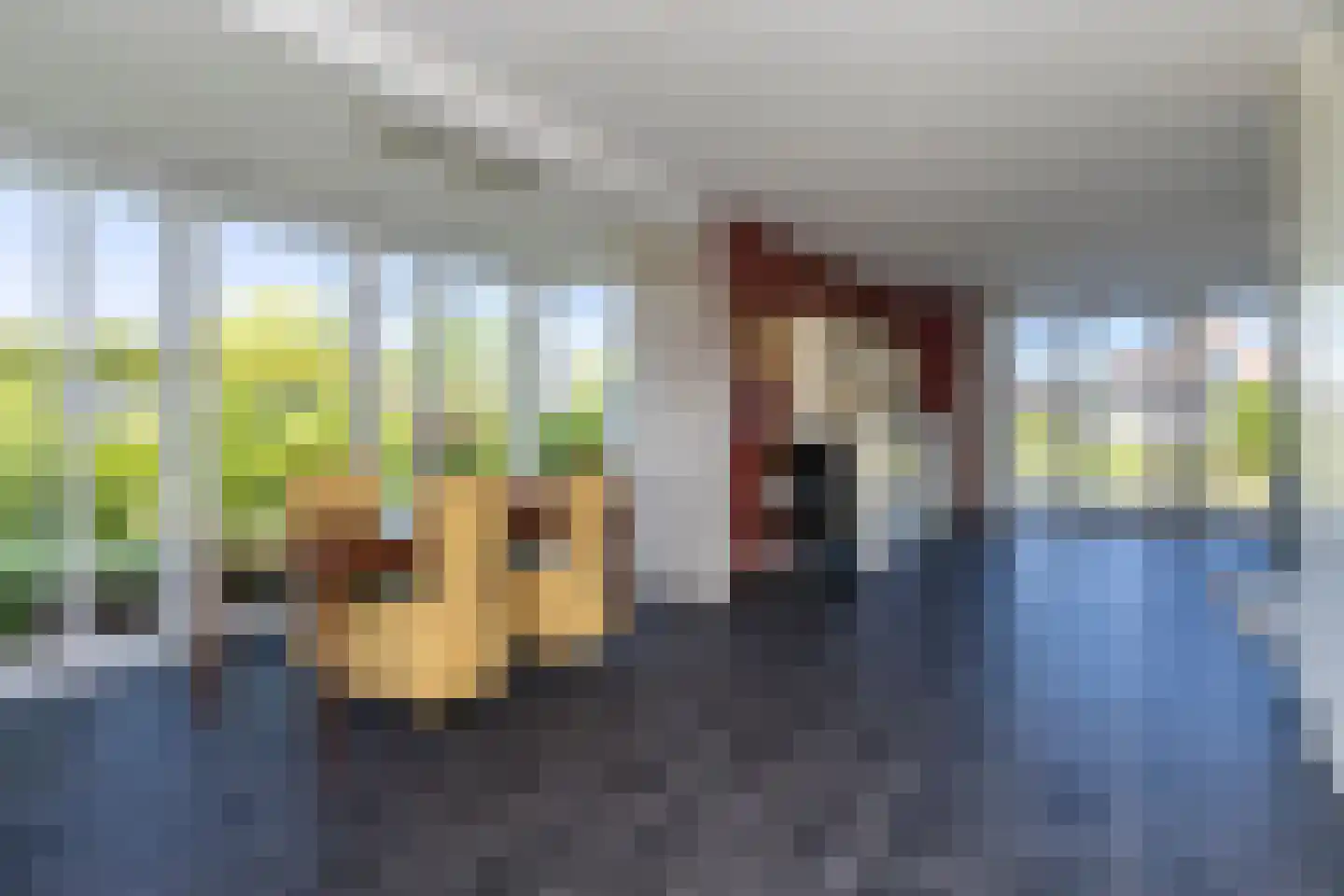 Kristiansandstraat 2 Den Haag thumbnail 13