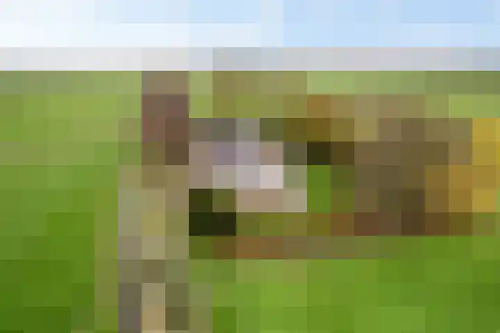 Krite 30 Boornbergum