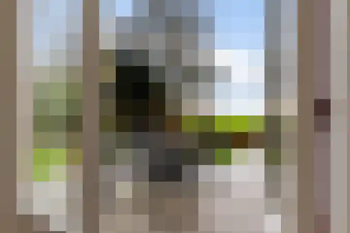 Krite 30 Boornbergum thumbnail 14