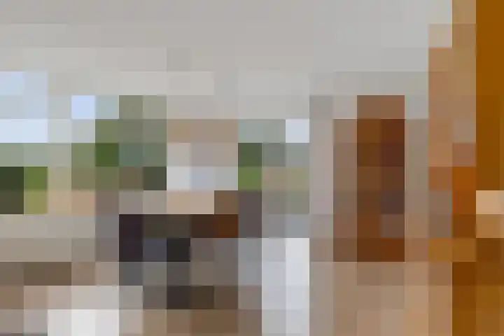 Krite 30 Boornbergum thumbnail 15
