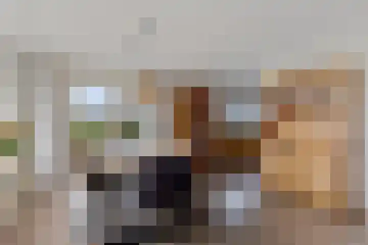 Krite 30 Boornbergum thumbnail 17