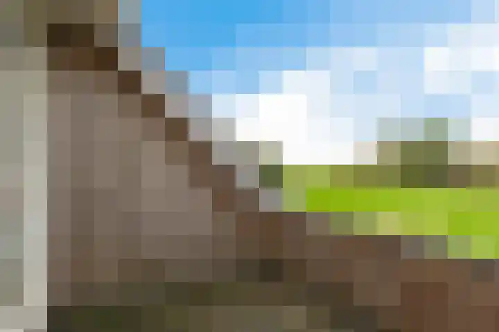 Krite 30 Boornbergum thumbnail 30