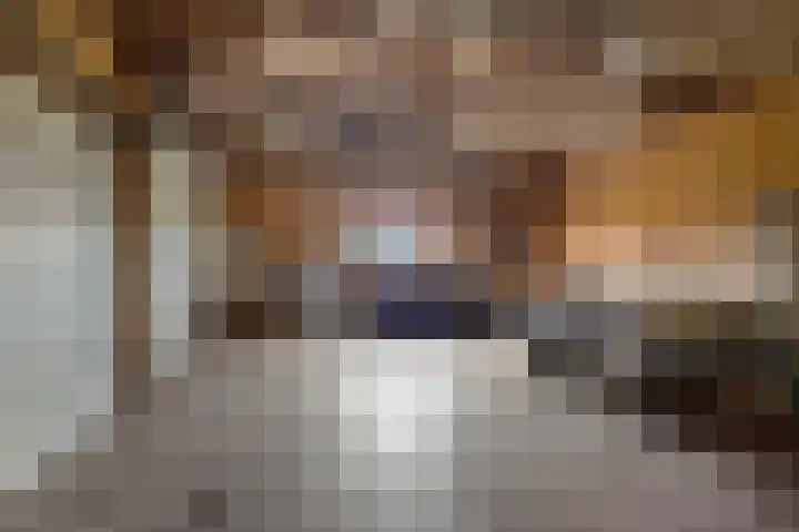 Krite 30 Boornbergum thumbnail 41