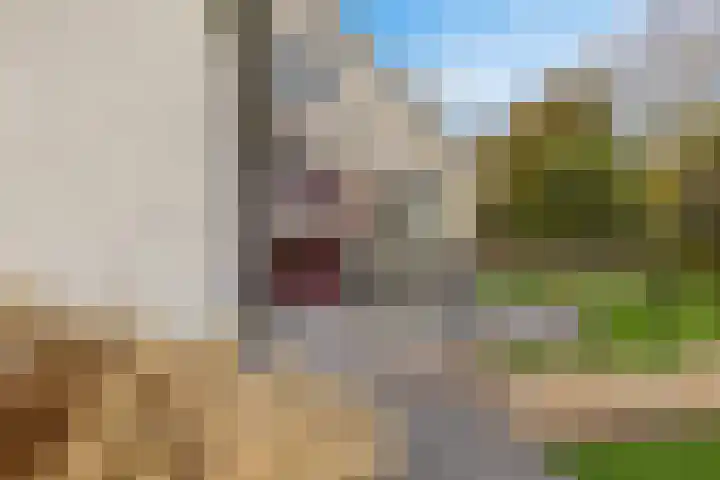 Krite 30 Boornbergum thumbnail 44