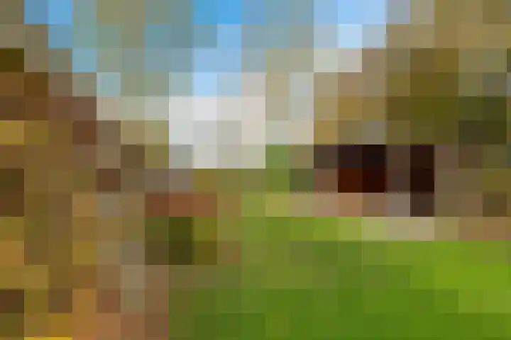 Krite 30 Boornbergum thumbnail 46