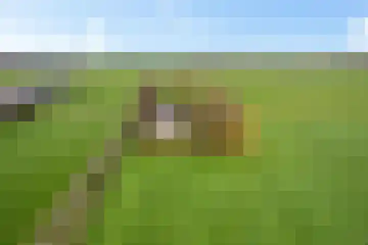 Krite 30 Boornbergum thumbnail 47