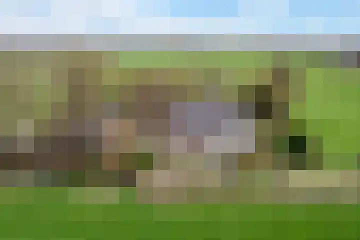 Krite 30 Boornbergum thumbnail 49
