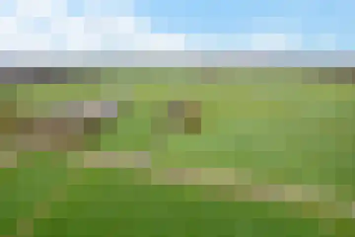 Krite 30 Boornbergum thumbnail 50