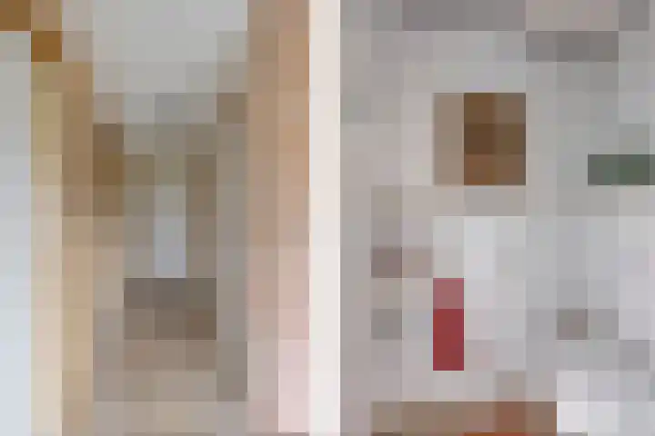 Krite 30 Boornbergum thumbnail 8