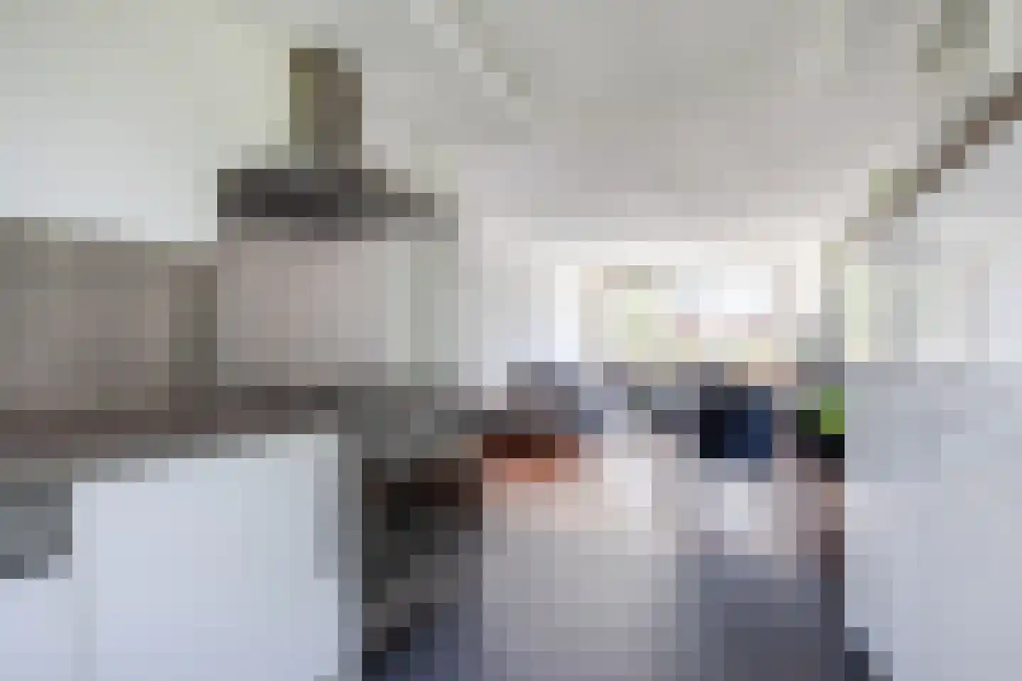 Kritostraat 66 Rotterdam thumbnail 10
