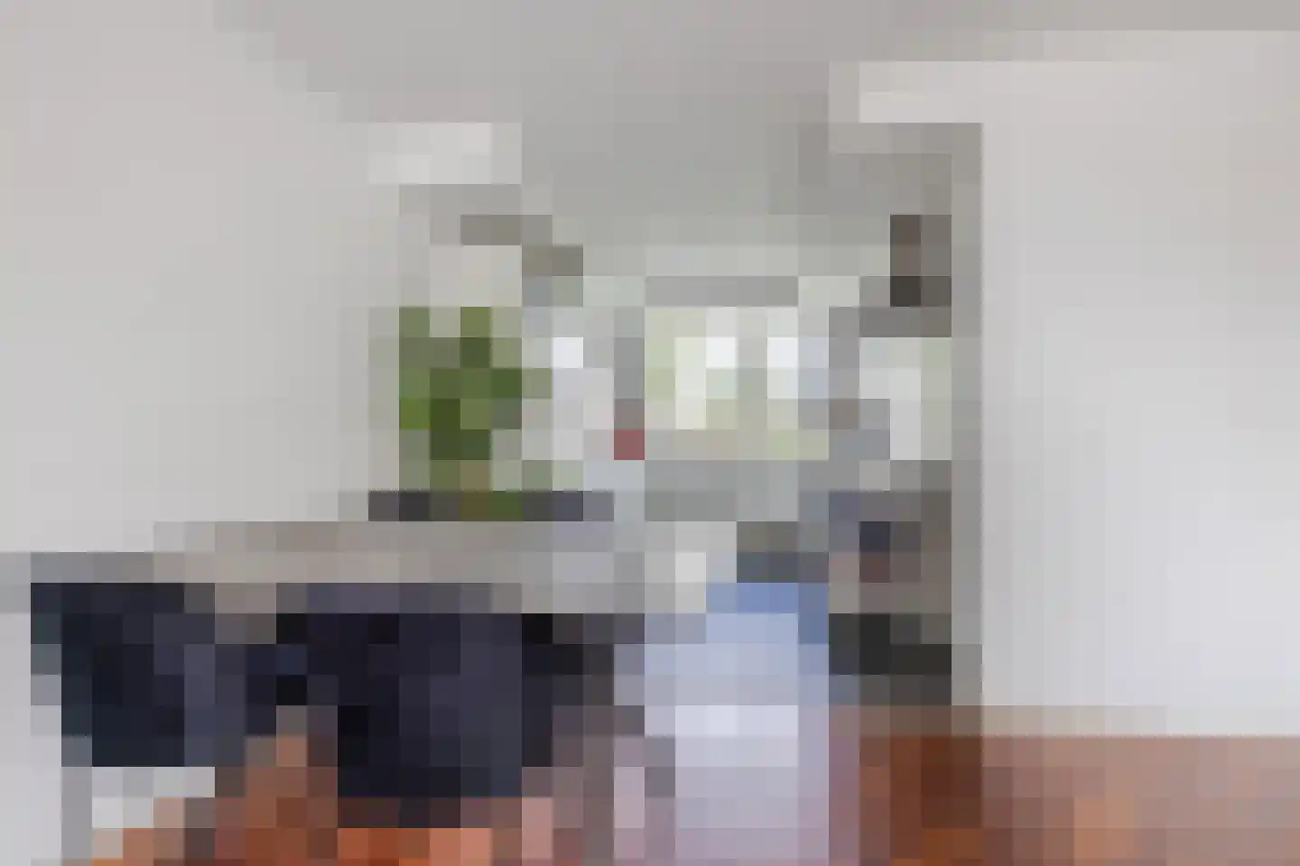 Kritostraat 66 Rotterdam thumbnail 6