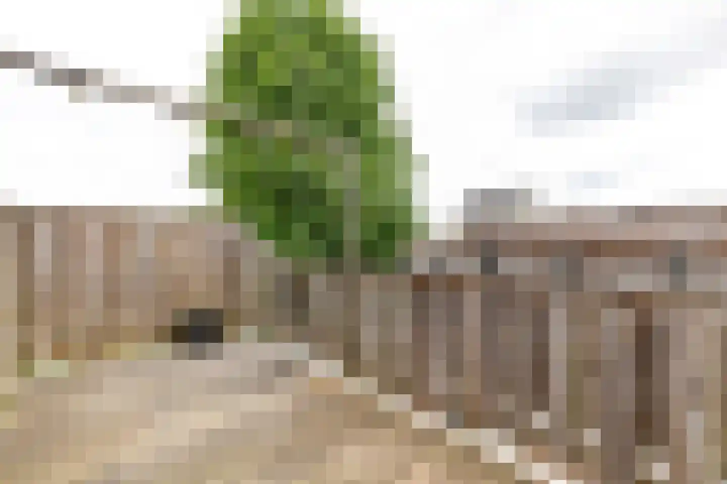 Kritzingerlaan 17 Zeist thumbnail 19