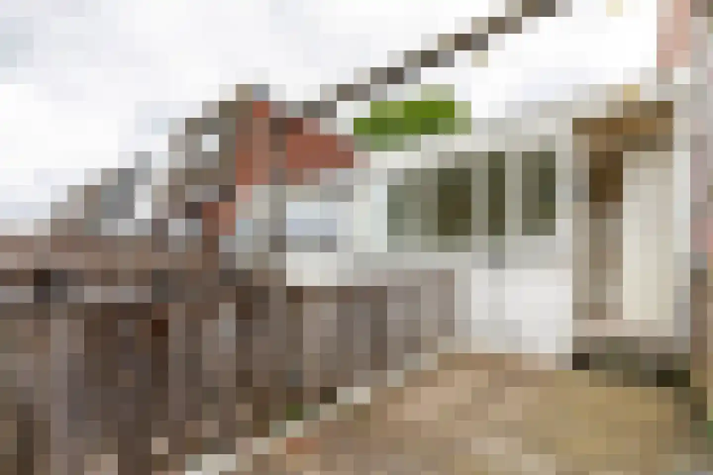 Kritzingerlaan 17 Zeist thumbnail 20