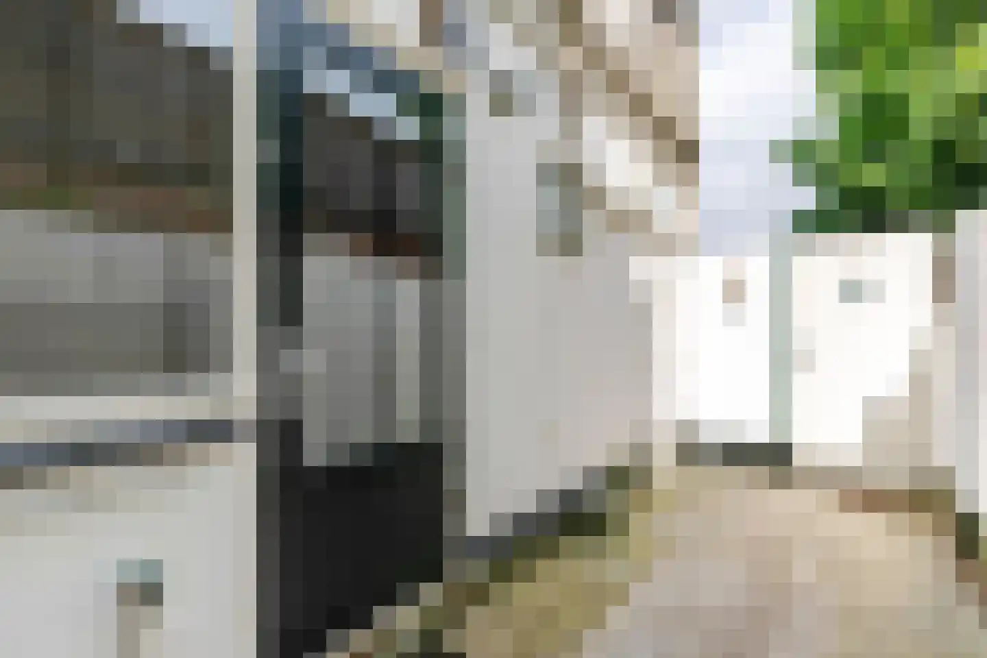 Kritzingerlaan 17 Zeist thumbnail 27