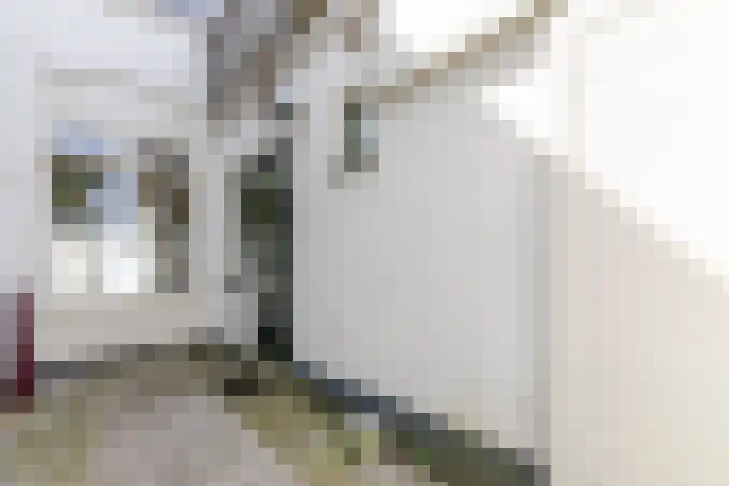 Kritzingerlaan 17 Zeist thumbnail 28