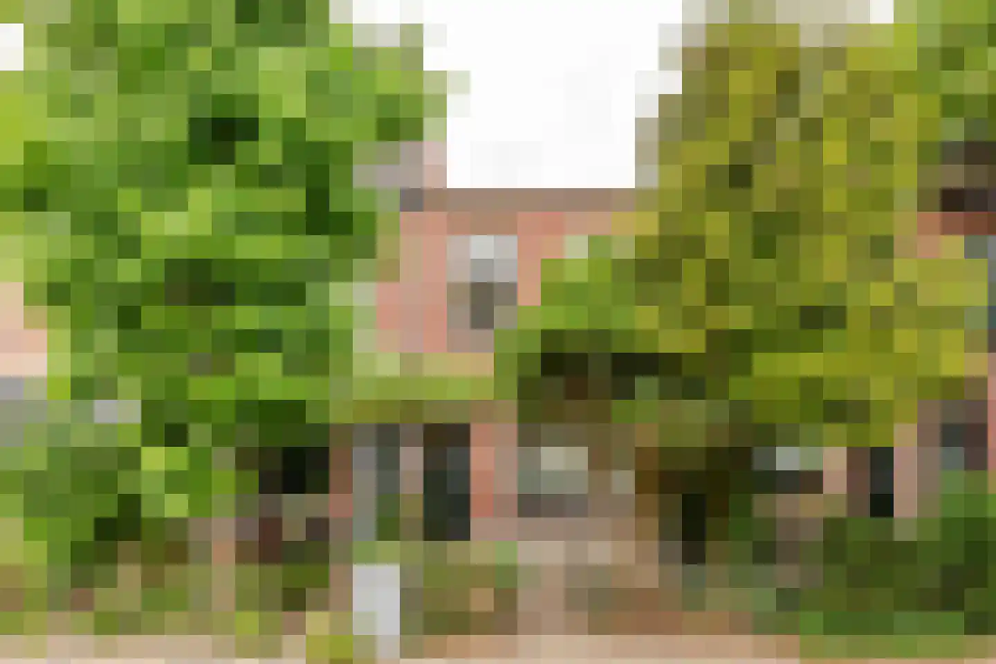 Kritzingerlaan 17 Zeist thumbnail 30