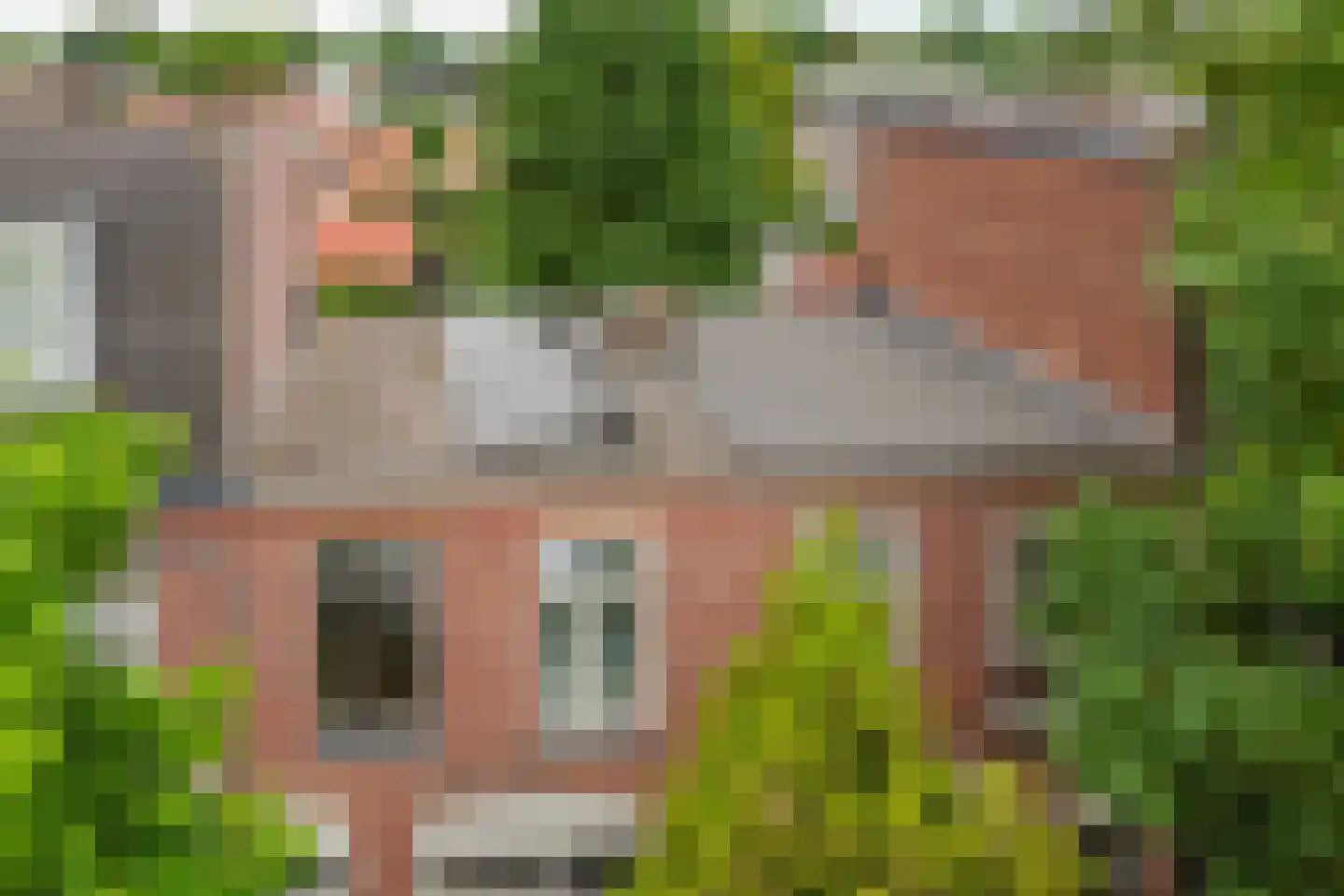 Kritzingerlaan 17 Zeist thumbnail 32
